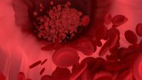 Trombocitele pot transporta în mod eficient medicamentele către inimă după un atac de cord