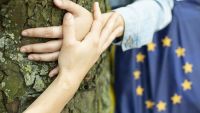 COP26: UE alocă 1 miliard de euro pentru gestionarea durabilă a pădurilor din întreaga lume