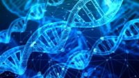 Mai puţin de 10% din genomul uman este unic. Descoperirea surprinzătoare făcută de cercetători