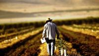 MAIA şi ODIMM îşi consolidează eforturile pentru a facilita accesul agricultorilor la resurse financiare